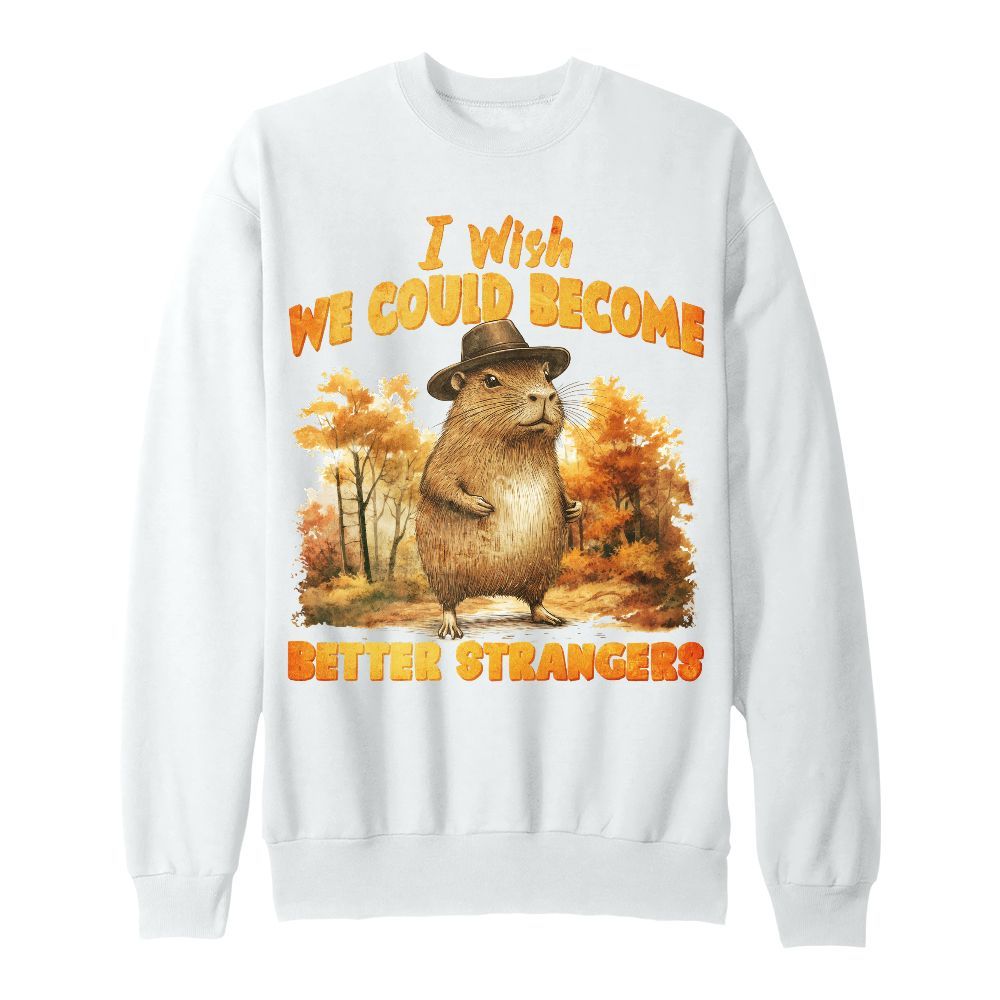 Amare Box Vintage Capybara Meme Shirt, Retro Wish We Could Become Better Strangers Gift Unisex Sweatshirt