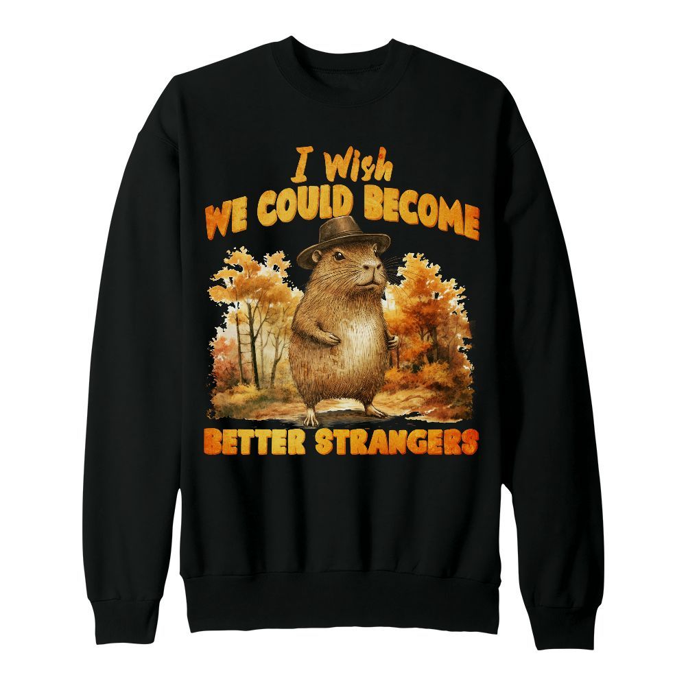 Amare Box Vintage Capybara Meme Shirt, Retro Wish We Could Become Better Strangers Gift Unisex Sweatshirt